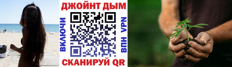 Бошки марихуана семена  Владикавказ 